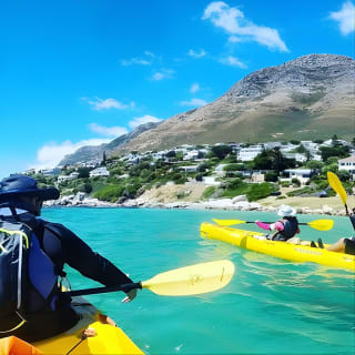 Kayak to the penguins in Simons Town 3