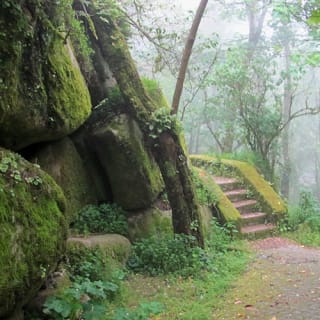 Parque da Pena: bilhete de entrada 4