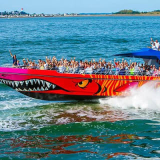 Boston Codzilla High-Speed Thrill Boat Ride 9