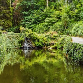 Parque da Pena: bilhete de entrada 5