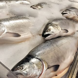 Saborea el mar: Degustación guiada de marisco en Pike Place Ma 2