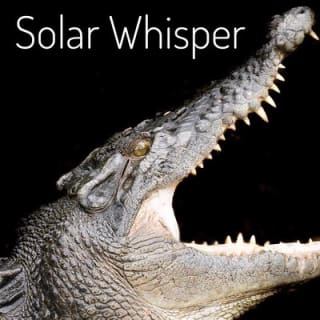 Solar Whisper Daintree River Crocodile and Wildlife Cruise 10