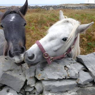 Aran Islands Scenic Flight and Galway Rail Tour from Dublin 8