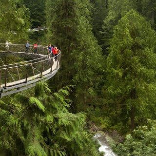 Excursión en tierra tras el crucero: Puente colgante de Capilano y Grouse Mountain 3