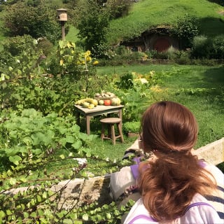 Hobbiton Movie Set Tour with lunch from Auckland 3