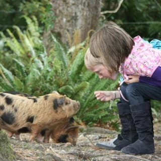 Skip the Line: Staglands Wildlife Reserve Entry Ticket 1