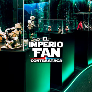 The Fan Empire 7
