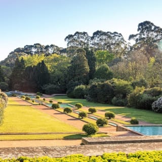 Serralves Park: admission ticket and Treetop Walk 71