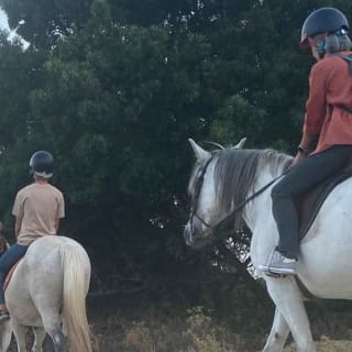 Madrid: experiencia a caballo por la Sierra de Guadarrama 3