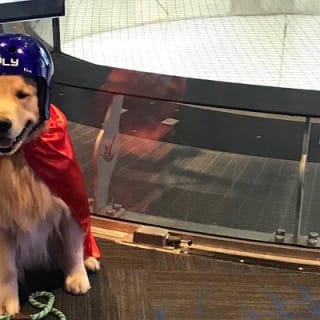 Denver Indoor Skydiving Experience avec 2 vols et certificat personnalisé 9