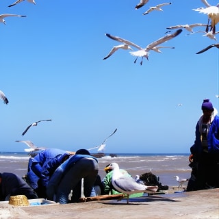 Depuis Marrakech : Excursion d'une journée à Essaouira 11