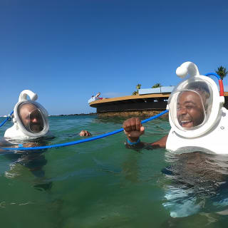 Underwater Sea Trek in San Juan: Explore Beneath the Waves 4