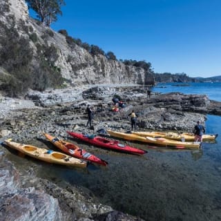 Hobart's Cliffs, Caves and Beaches Kayak Tour 8