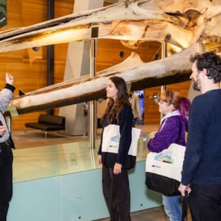 Museo de Melbourne: Recorrido por la historia de Melbourne 5
