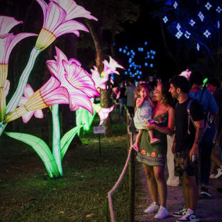 Lektrik: Um Festival de Luzes - São Paulo 3