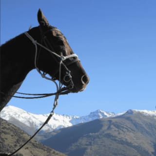 Madrid: experiencia a caballo por la Sierra de Guadarrama 7