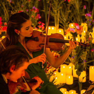 Candlelight Spring :hommage à Taylor Swift 3