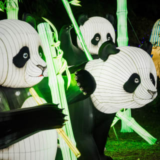 Lektrik: Um Festival de Luzes - São Paulo 4