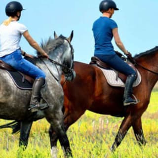 Madrid: experiencia a caballo por la Sierra de Guadarrama 9