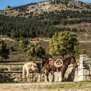 Madrid: experiencia a caballo por la Sierra de Guadarrama 10