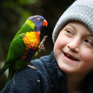 Skip the Line: Staglands Wildlife Reserve Entry Ticket 6