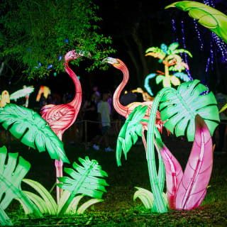 Lektrik: Um Festival de Luzes - São Paulo 6