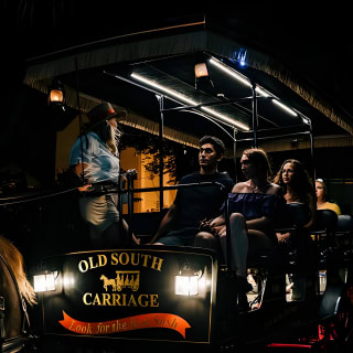 Haunted Evening Horse and Carriage Tour of Charleston 3