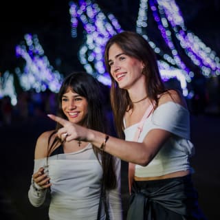 Lektrik: Um Festival de Luzes - São Paulo 7