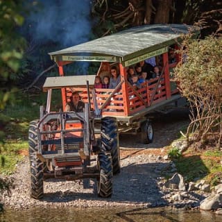 Skip the Line: Staglands Wildlife Reserve Entry Ticket 7