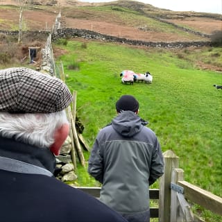 Small Group Aughnanure Castle, Sheepdog Demo & Connemara Tour 1