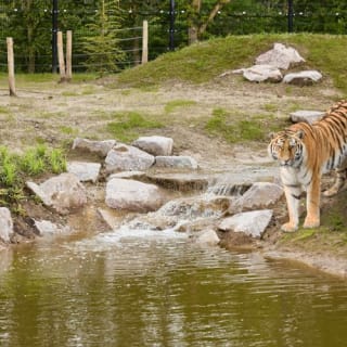 Eindhoven Zoo 2