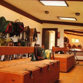 Madrid: experiencia a caballo por la Sierra de Guadarrama 12