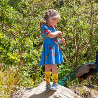 Skip the Line: Staglands Wildlife Reserve Entry Ticket 8