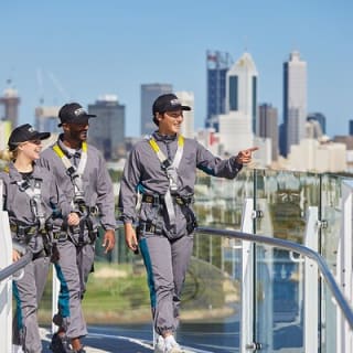 Optus Stadium HALO Roof Climb Admission Ticket in Perth 6