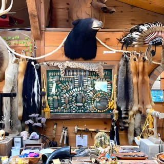Gem Mining and Goat Farm Walking Tour in Hendersonville 1