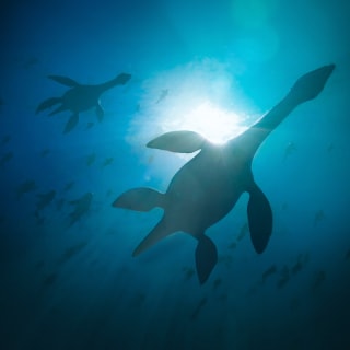 Die Urzeit Chroniken: Eine immersive Reise zu den Ursprüngen des Lebens - Geschenkgutscheine 5