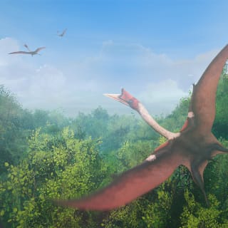 Die Urzeit Chroniken: Eine immersive Reise zu den Ursprüngen des Lebens - Geschenkgutscheine 6