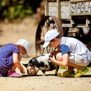 Skip the Line: Staglands Wildlife Reserve Entry Ticket 10