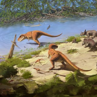 Life Chronicles: An immersive VR journey through the Earth’s history 5