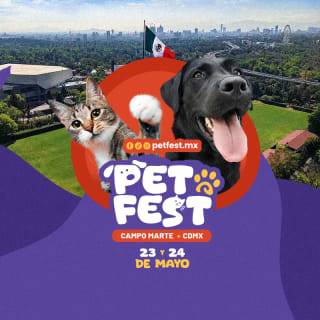 PETFEST 2