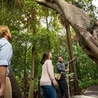 Aboriginal Heritage Walk - Royal Botanic Gardens Victoria, Melbourne Gardens 2