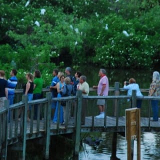 Gatorland Orlando: Gator Night Shine 4