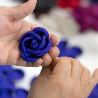 Tour di un impianto di produzione - M&S Schmalberg Flowers 1