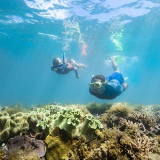Whitsundays Ocean Rafting: Snorkel, Walk & Whitehaven Beach 3