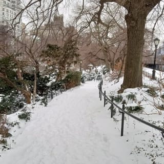 5th & Park - Film & Fiction Pep-Walk entlang des Museum Mile 16