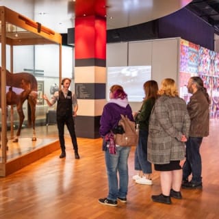 Museo de Melbourne: Recorrido por la historia de Melbourne 25