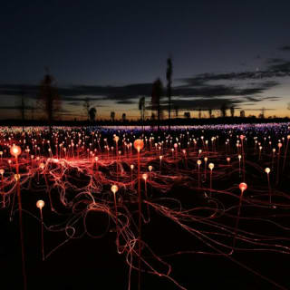 Field of Light Uluru: Star Pass 4