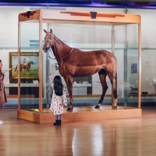 Museo de Melbourne: Recorrido por la historia de Melbourne 31