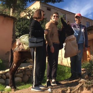 Découvre la vallée de l'Ourika autrement lors d'une excursion d'une journée Au départ de Marrakech  10