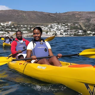 Kayak to the penguins in Simons Town 4